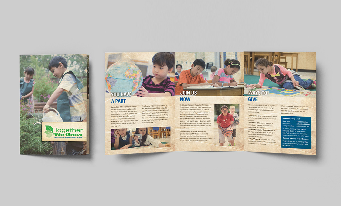 MSAA-tri-fold-brochure