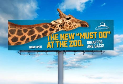 img-work-Zoo-OOH-giraffe-1