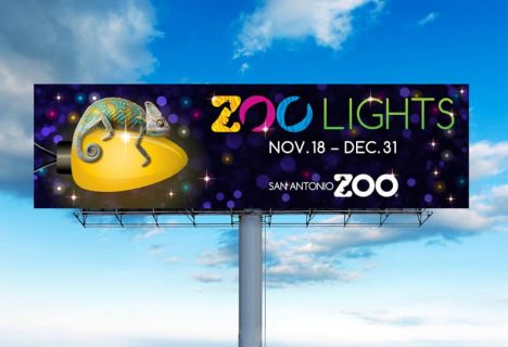 img-work-Zoo-OOH-lights